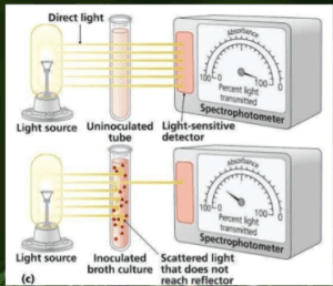 Bacteria Enumeration Definition Methods Example Conduct Science