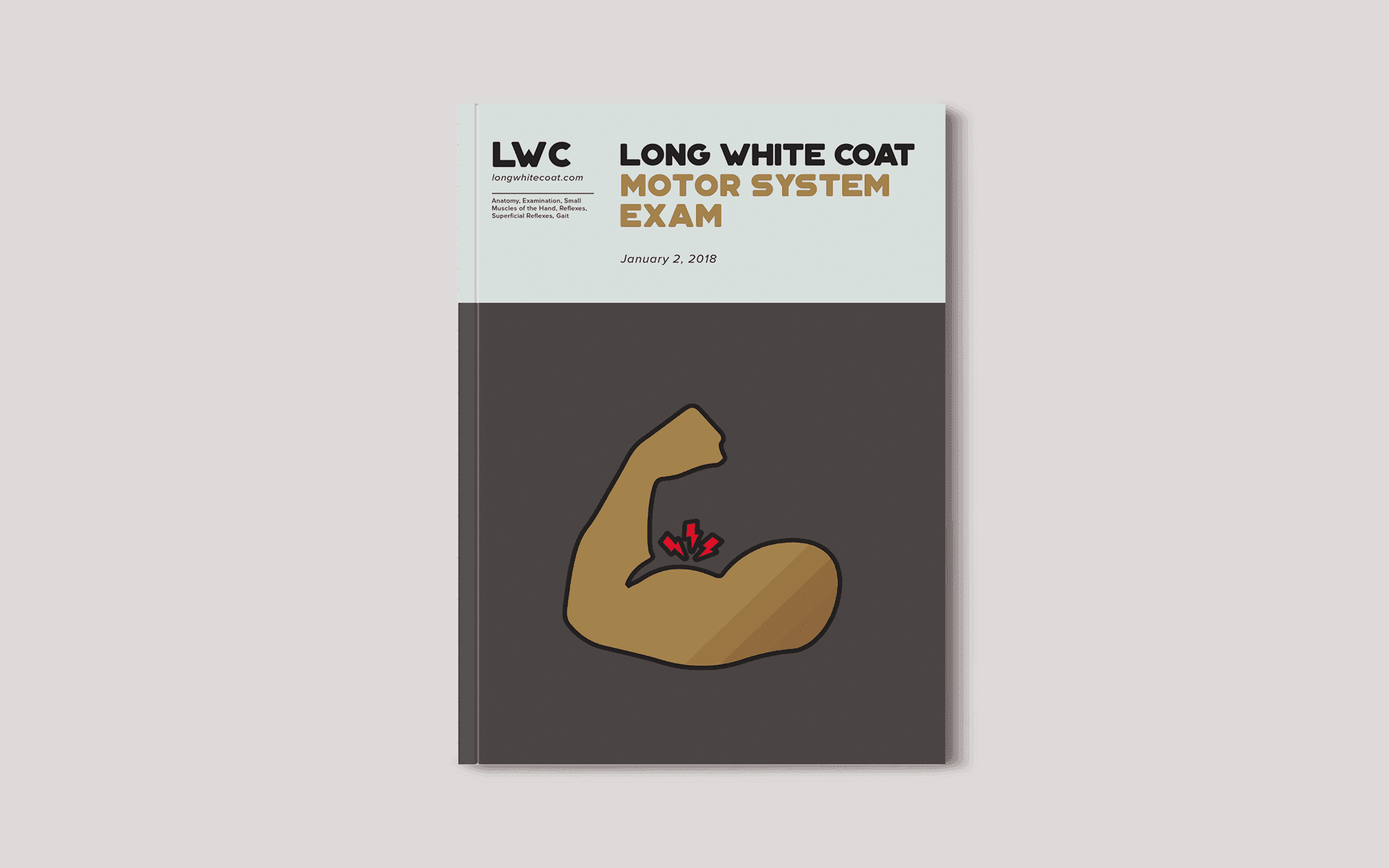 Motor System Examination