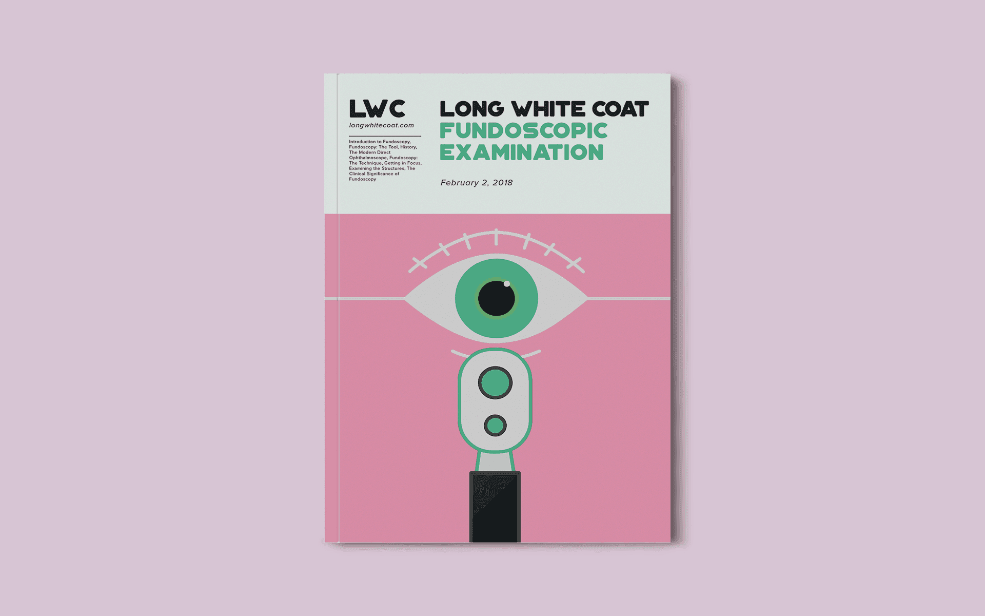 A Comprehensive Guide to the Fundoscopic Examination