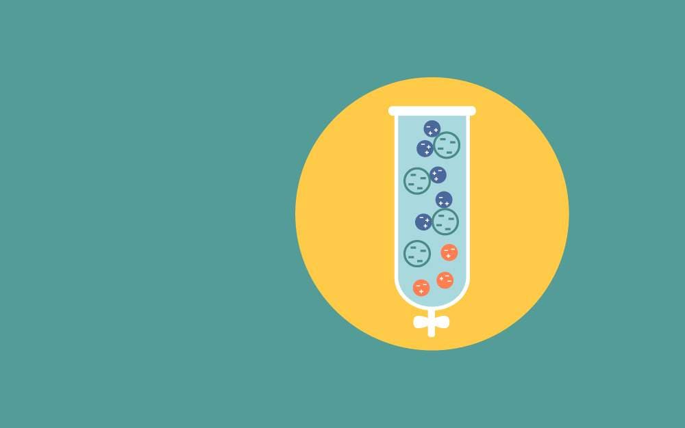 Ion-exchange Chromatography Protocol