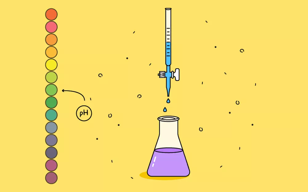 Understanding and Using Acids