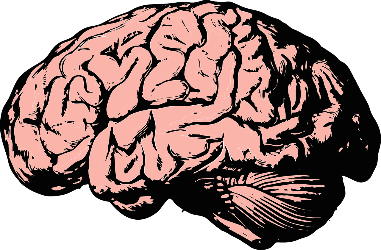 New Insight on the Link Between Cannabinoids and Learning