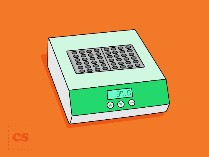Introduction to Electrophoresis