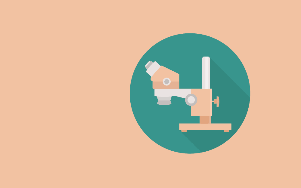 Stereo Microscopes: A Comprehensive Guide