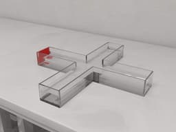 Zebrafish T Maze thumbnail 3