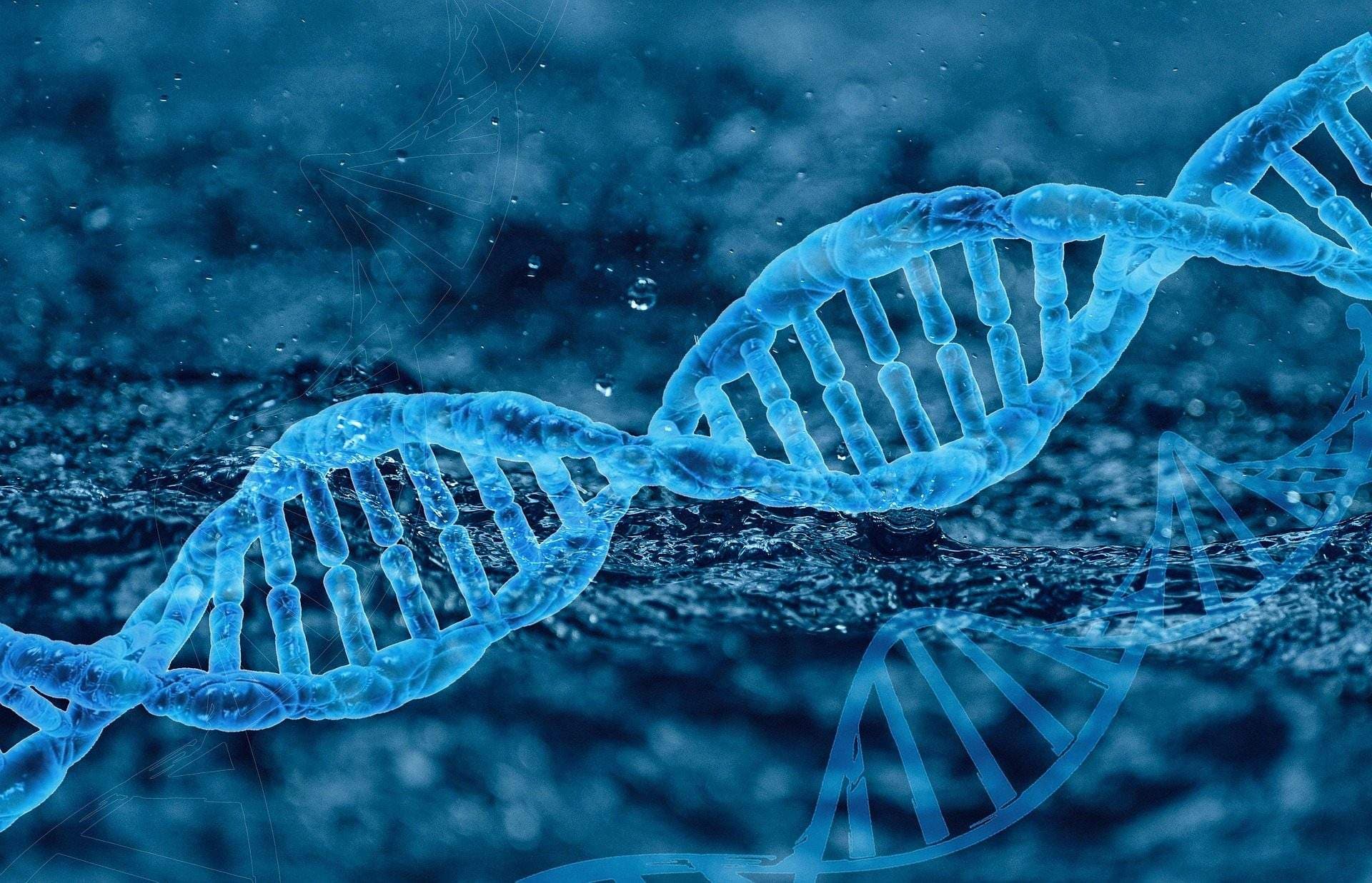 Preparation of Bacteriophage λ DNA Cleaved with two Restriction Enzymes to be used as a Cloning Vector