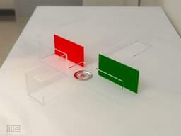 Zebrafish T Maze thumbnail 4