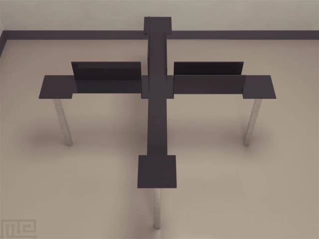 Elevated Asymmetric Plus Maze - Neuroscience &amp; Surgery