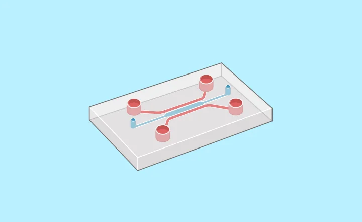 Crafting Custom Microfluidic Chips: A Step-by-Step Guide