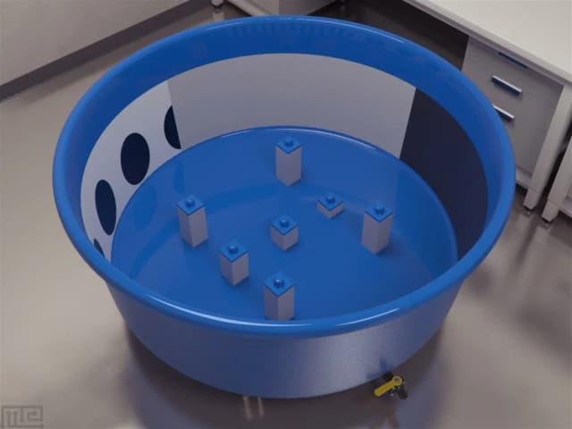 MWM Open Field Tower - Behavioral Mazes