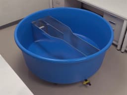 Morris Water Y Maze - Behavioral Mazes