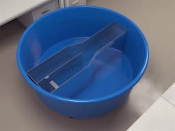 Morris Water Y Maze - Behavioral Mazes