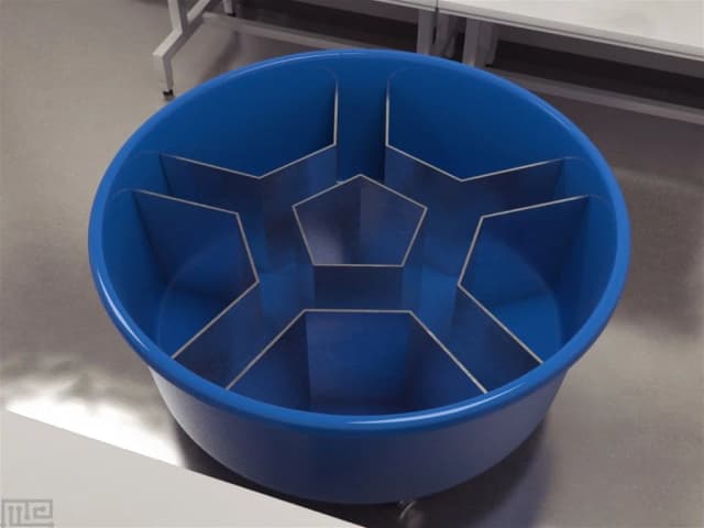 Rondi Reig Star Maze - Behavioral Mazes