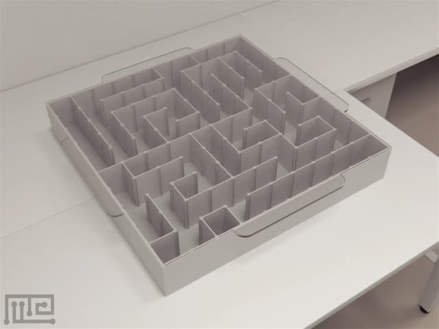 Cyborg Maze - Neuroscience &amp; Surgery