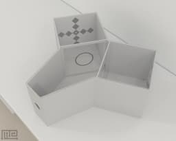 Modified Y Choice For Bees - Neuroscience &amp; Surgery