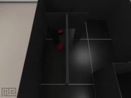 Pig Mirror - Neuroscience &amp; Surgery