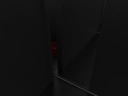 Pig Mirror - Neuroscience &amp; Surgery