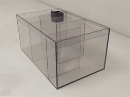 Zebrafish Sociability - Neuroscience &amp; Surgery