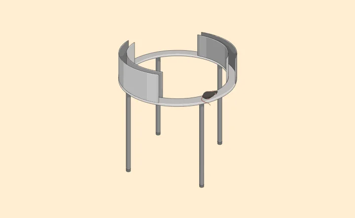 Maze Bazics: Zero Maze – What is it and what does it do?