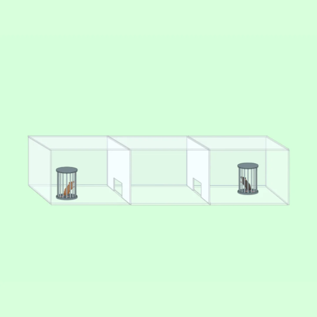 Maze Bazics: Sociability Chamber