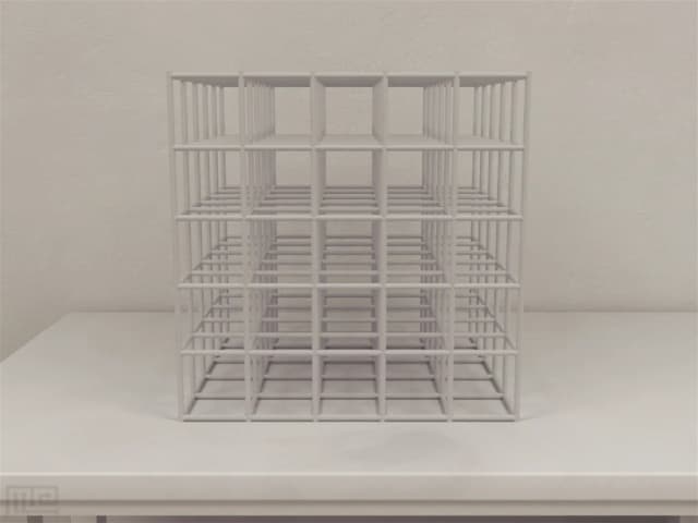 Cubic Maze - Behavioral Mazes