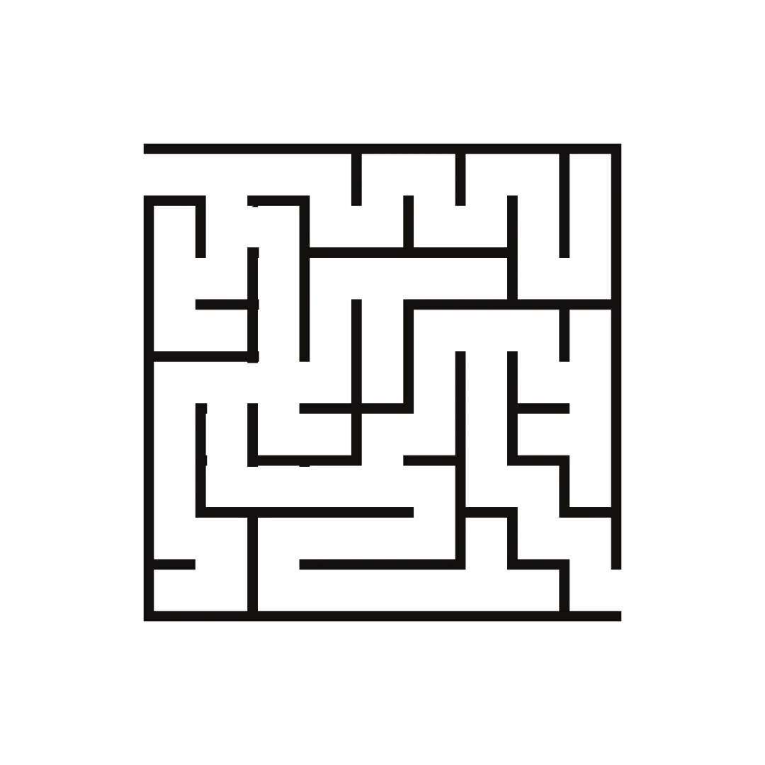 Maze Bazics: Understanding the Lashley III Maze Test