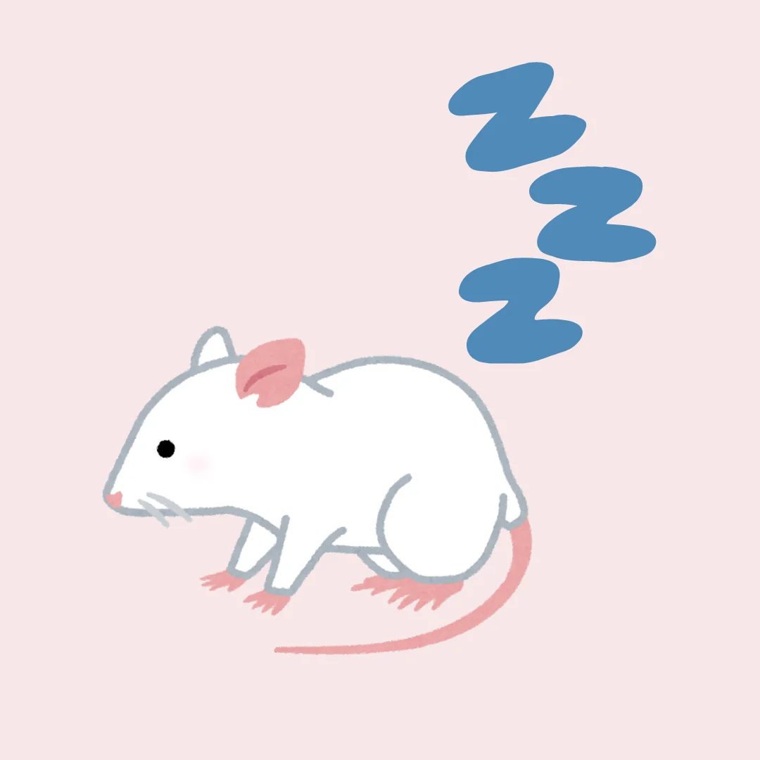 Maze Bazics: Sleep Fragmentation Chambers