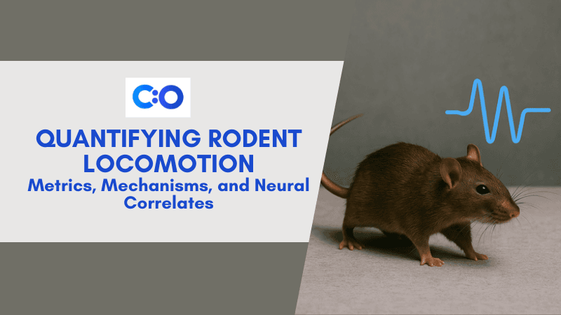 Quantifying Rodent Locomotion: Metrics, Mechanisms, and Neural Correlates