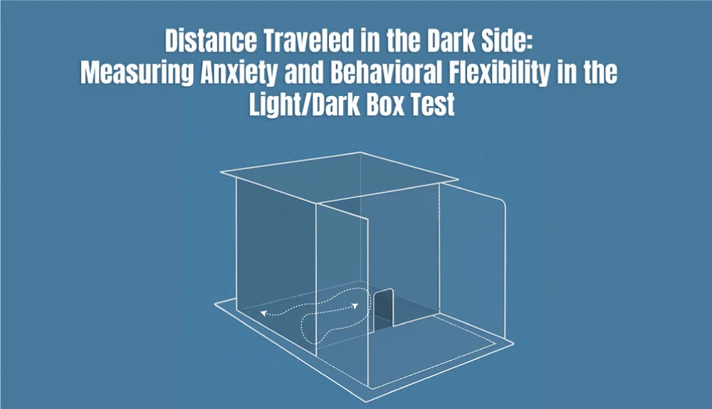 Distance Traveled in the Dark Side: Measuring Anxiety and Behavioral Flexibility in the Light/Dark Box Test
