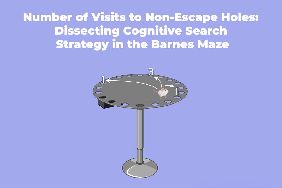 Number of Visits to Non-Escape Holes: Dissecting Cognitive Search Strategy in the Barnes Maze