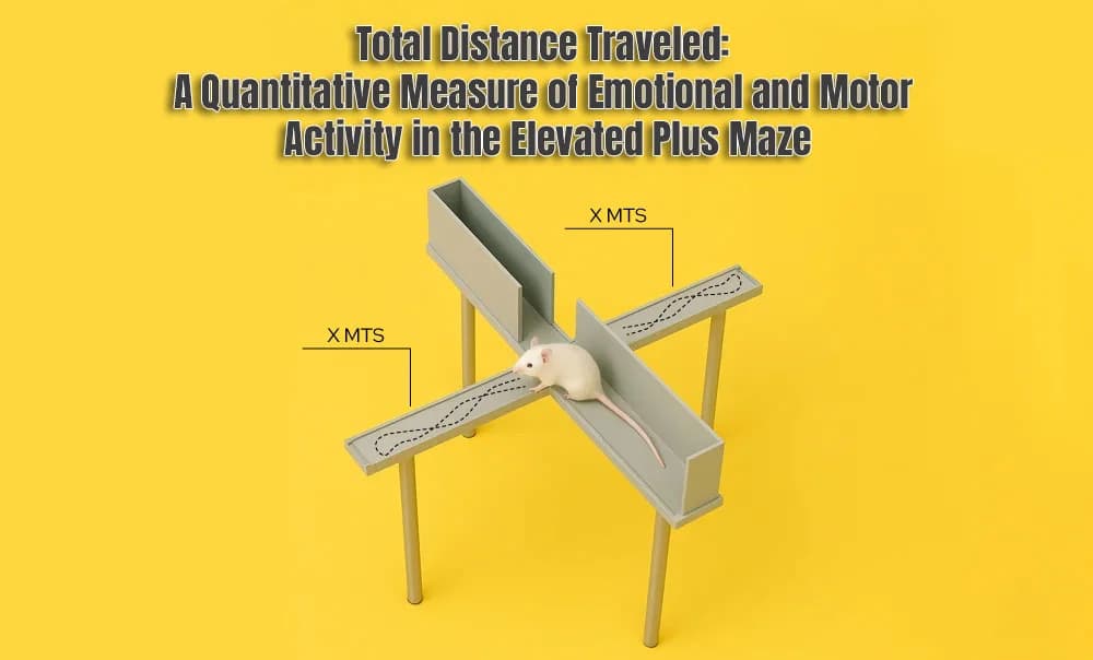 Total Distance Traveled: A Quantitative Measure of Emotional and Motor Activity in the Elevated Plus Maze