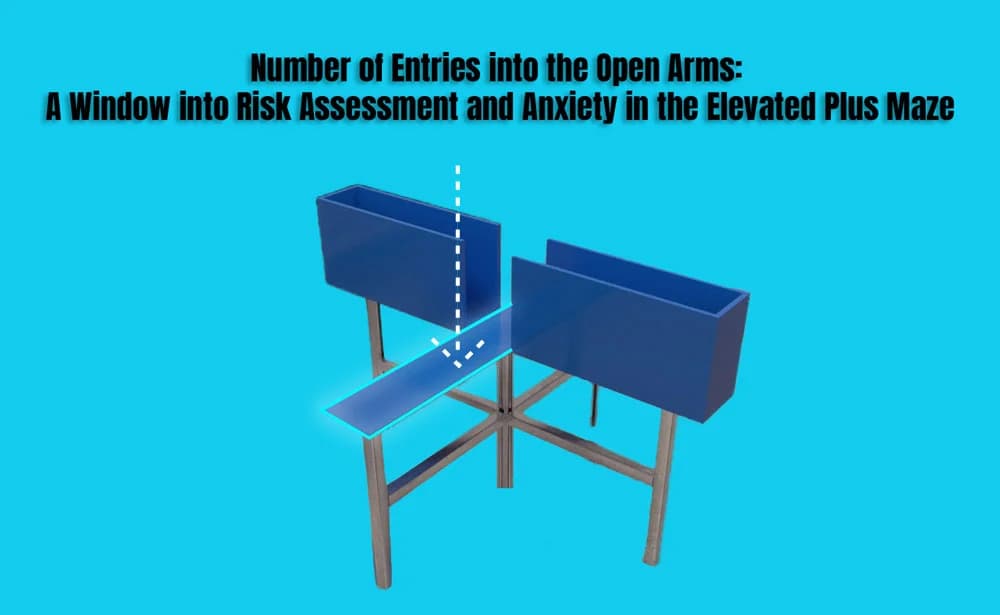 Number of Entries into the Open Arms: A Window into Risk Assessment and Anxiety in the Elevated Plus Maze