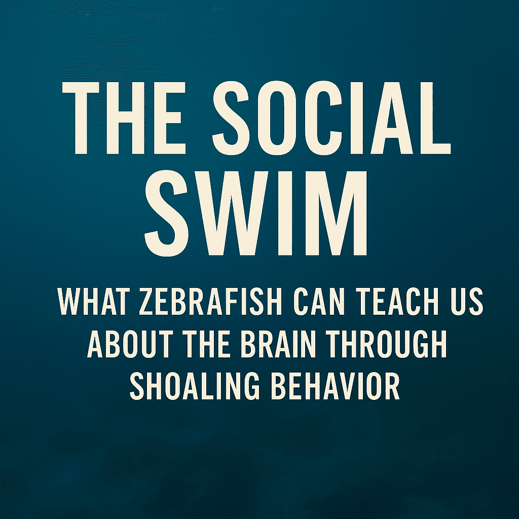The Social Swim: What Zebrafish Can Teach Us About the Brain Through Shoaling Behavior