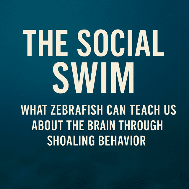 Zebrafish Shoaling Behavior — Social Brain Research | ConductScience