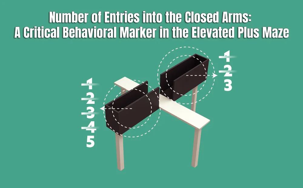 Number of Entries into the Closed Arms: A Critical Behavioral Marker in the Elevated Plus Maze