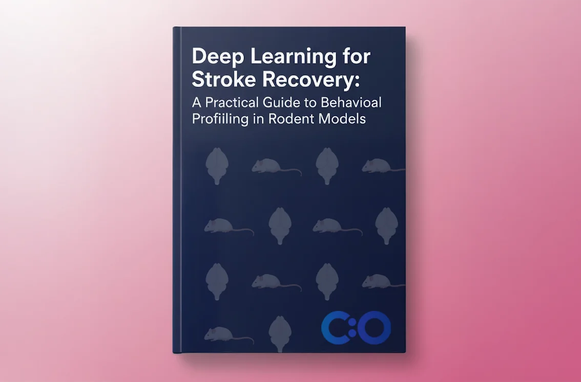 Deep Learning for Stroke Recovery: A Practical Guide to Behavioral Profiling in Rodent Models