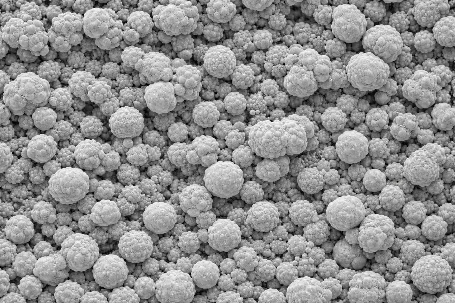 Particle Size Analysis