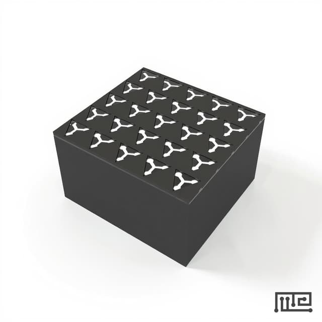 Drosophila Maze Array