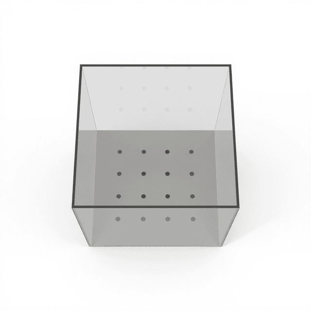 Neuwirth Hole Board Test