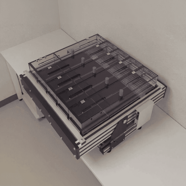 Rodent Treadmill - Behavioral Mazes