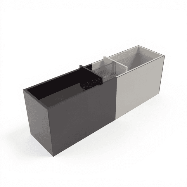 Zebrafish Light Dark