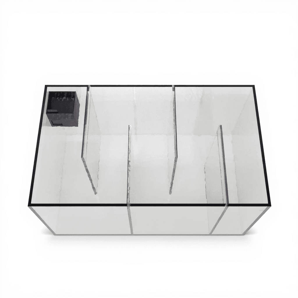 Zebrafish Sociability