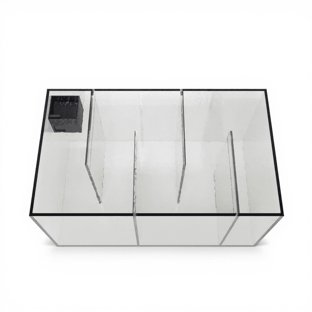 Zebrafish Sociability