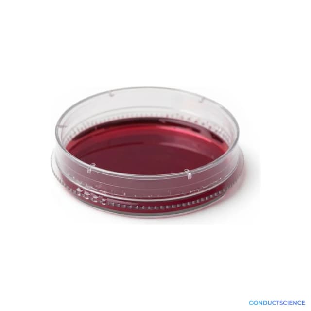 ConductScience Cell Culture Dishes 60mm, TC-Treated (Case of 10) - Cell Culture