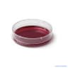 ConductScience Cell Culture Dishes 60mm, TC-Treated (Case of 10)