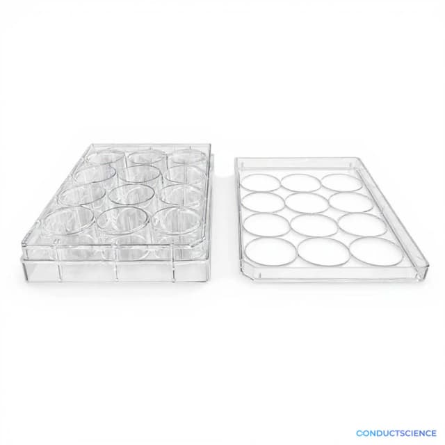 ConductScience Cell Culture Plates, 12-Well, TC-Treated (Case of 10) - Cell Culture