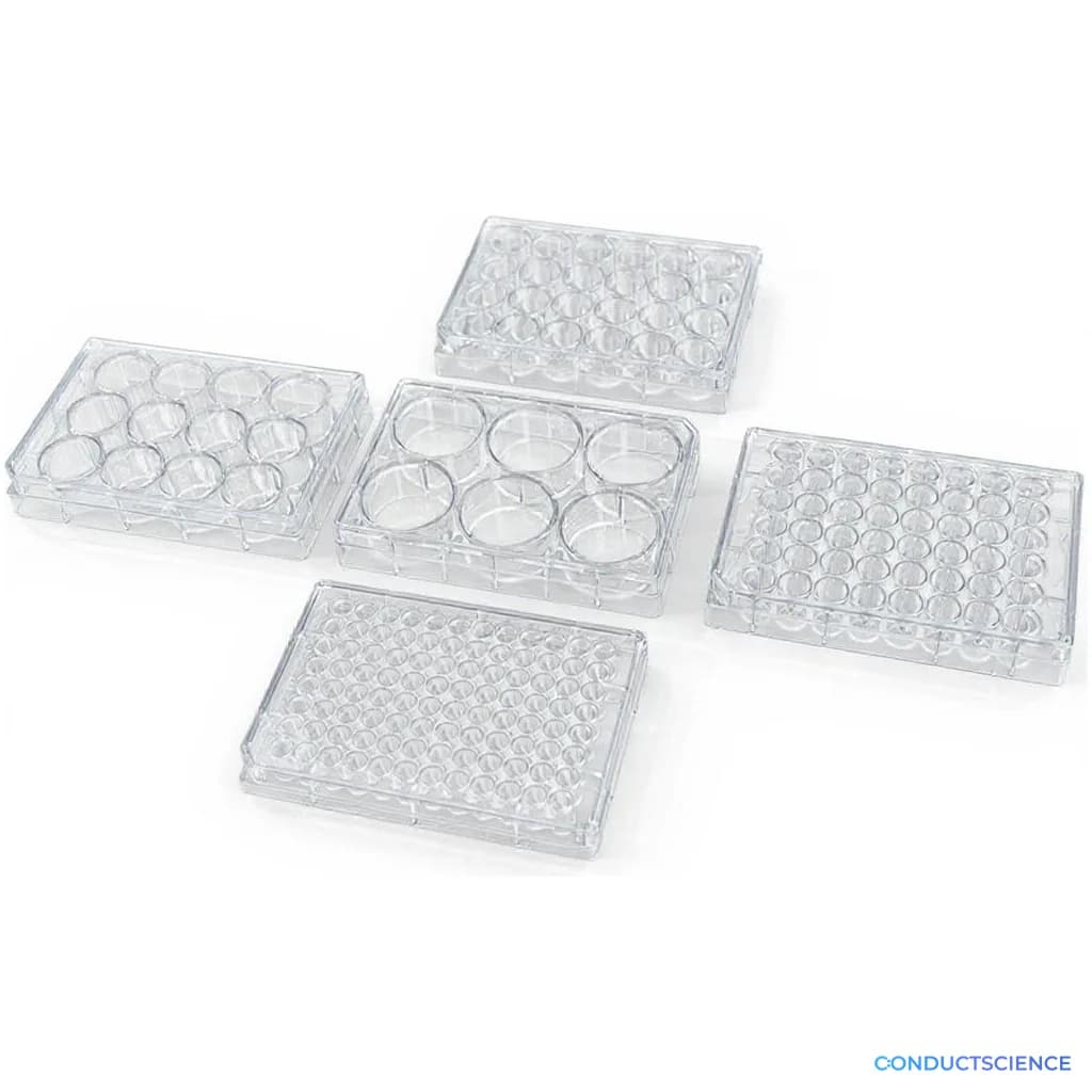 ConductScience Cell Culture Plates, 6-Well, TC-Treated (Case of 10) - Cell Culture