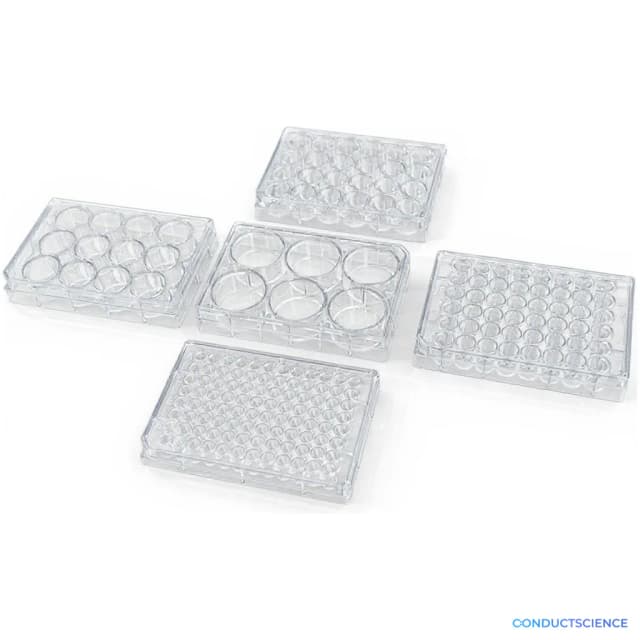 ConductScience Cell Culture Plates, 6-Well, TC-Treated (Case of 10) - Cell Culture
