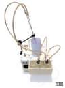 Drosophila Flight Simulator