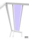 Zebrafish Rheotaxis Device